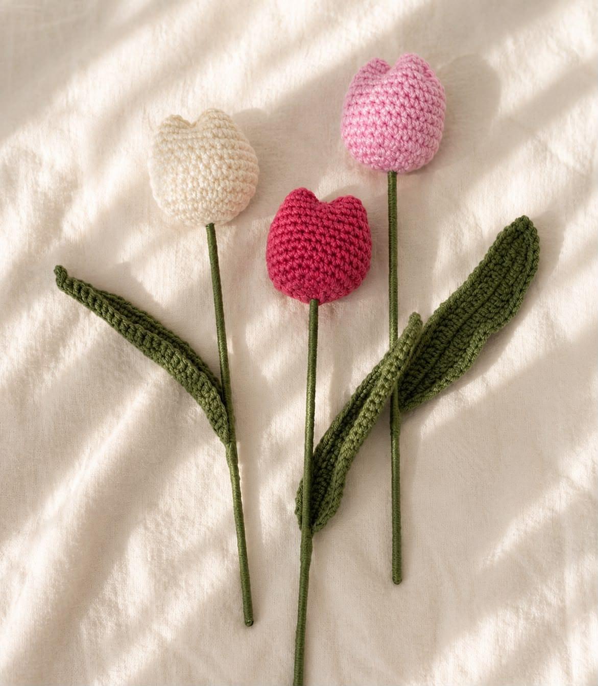 Tulpe